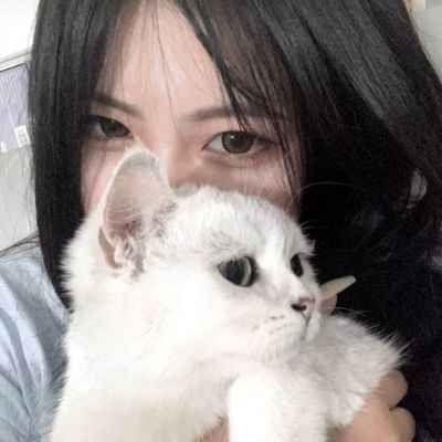 倩女十年经典变态版官方下载